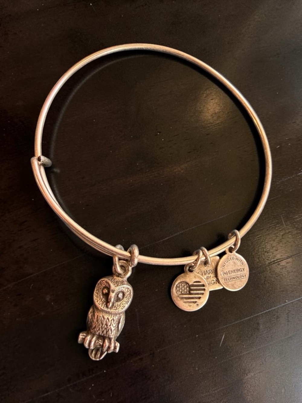 Alex and Ani Silver Owl Charm Expandable Bangle Bracelet